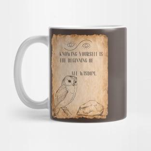 Wisdom Seeker - with Ancient Vibes! Mug